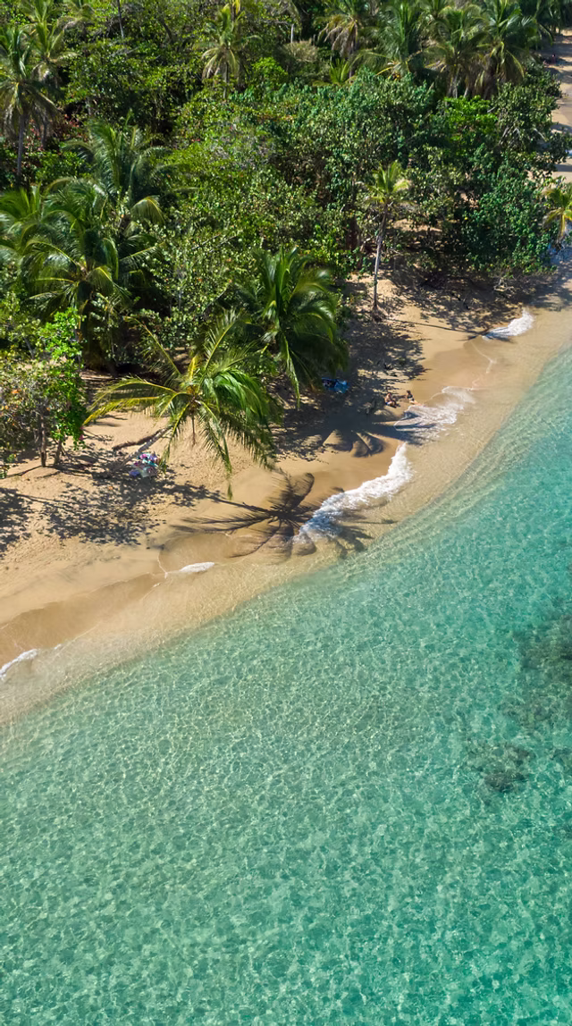Punta Uva